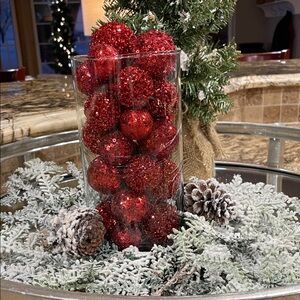 Festive Red Holiday Ornament Set